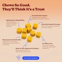 longevity-dog-multivitamin-11-in-1-daily-3.jpg