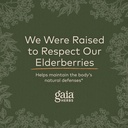 gaia-herbs-black-elderberry-syrup-54-oun-5.jpg