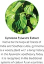 botanic-choice-gymnema-sylvestre-liquid--4.jpg