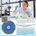 immune-perfecto---colloidal-silver-3000--2.jpg