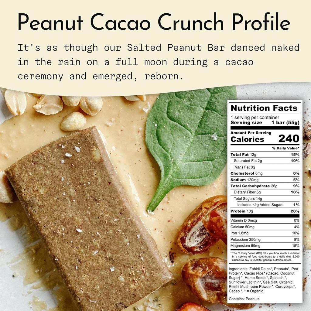 send-bars-plant-based-vegan-healthy-prot-2.jpg