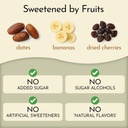 send-bars-plant-based-vegan-healthy-prot-4.jpg