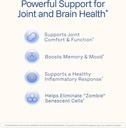 prohealth-turmeric-curcumin-supplement-2-3.jpg