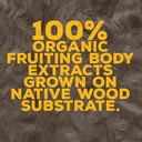 omfg-mushroom-gummies-for-brain-health-s-5.jpg