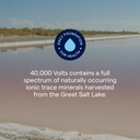 trace-minerals-40000-volts---concentrate-4.jpg