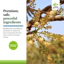 terry-naturally-bosmed-500---boswellia-s-5.jpg