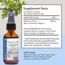 organic-elderberry-mist-sambucus-nigra-e-4.jpg