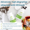 pharmepa-restore-epa-vesisorb-ubiquinol--3.jpg