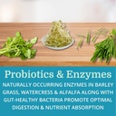 alkacleanse-best-process-alkaline-herbal-6.jpg