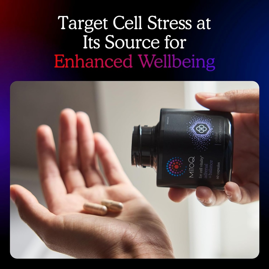 mitoq-balance-sensoril-ashwagandha-rhodi-3.jpg