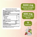 youngevity-majestic-earth-mineral-stxTM--3.jpg