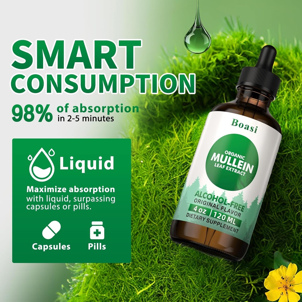 120ml-mullein-leaf-tincture---lung-clean-3.jpg