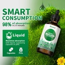 120ml-mullein-leaf-tincture---lung-clean-3.jpg