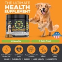 googipet-premium-10-in-1-dog-vitamins-mu-3.jpg