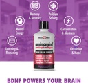 health-direct---aminomind---nootropic-co-6.jpg