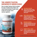 mushroomscience-immune-builder-mushroom--4.jpg