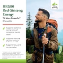 terry-naturally-hrg80-red-ginseng-energy-3.jpg