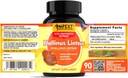 phellinus-linteus-mushroom-extract---pre-5.jpg
