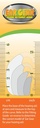ear-gear-original-cordless-protect-heari-3.jpg