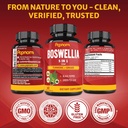 organic-boswellia-serrata-extract-capsul-6.jpg