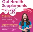 probiotics-for-women-digestive-health-va-2.jpg