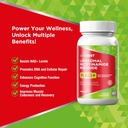 nad-supplement-nmn-alternative---liposom-2.jpg