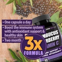 sambucus-elderberry-immune-support-suppl-6.jpg