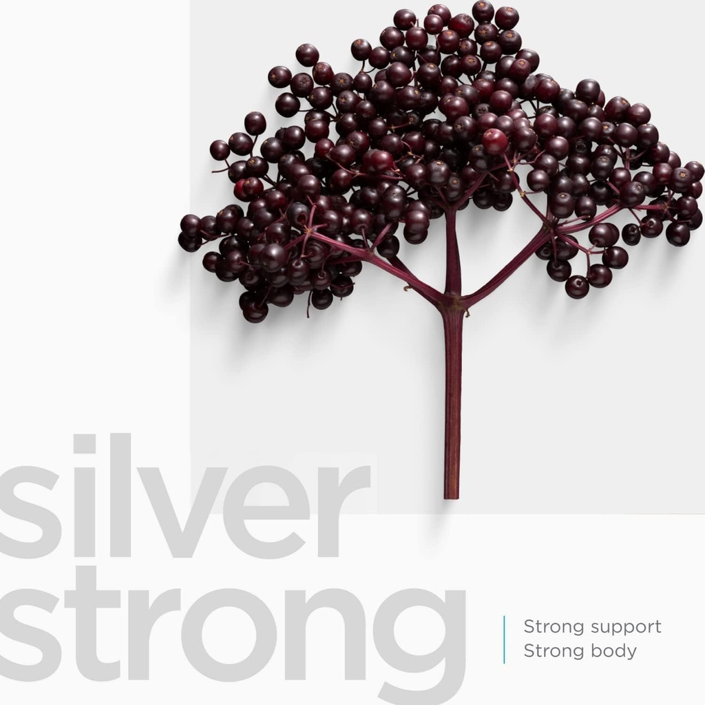 silver-biotics-sugar-free-colloidal-silv-6.jpg