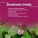punarnava-tablets-by-mi-nature-90-tablet-3.jpg