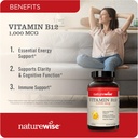 naturewise-vitamin-b12-1000mcg-360-softg-2.jpg