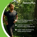 natures-plus-source-of-life-garden-vitam-3.jpg