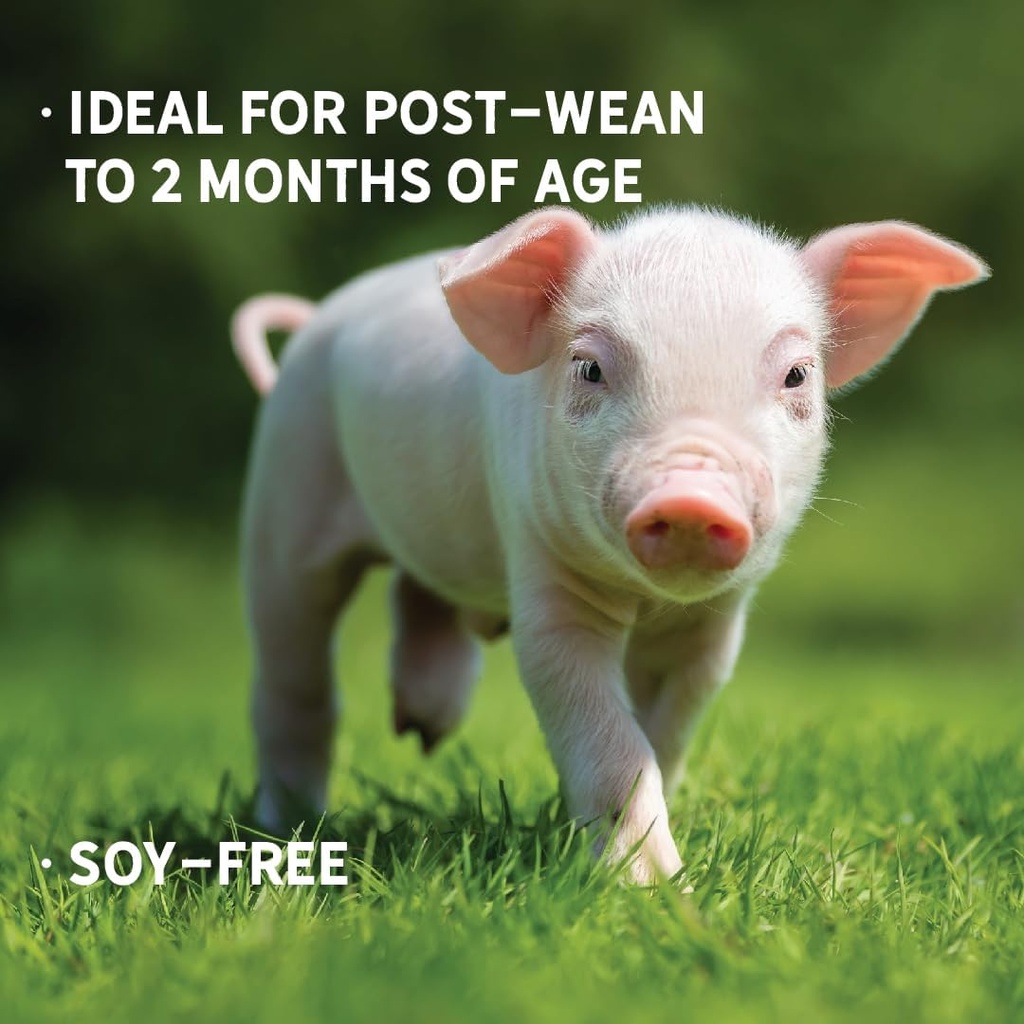 new-country-organics-swine-16-protein-fe-3.jpg