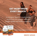 host-defense-breathe-capsules---immune-r-3.jpg