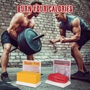simcoach-human-body-fat-muscle-replica-5-6.jpg