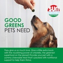 sun-chlorella-rejuv-a-wafers-daily-dog-c-3.jpg