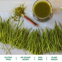 amazing-grass-wheat-grass-powder-100-who-3.jpg