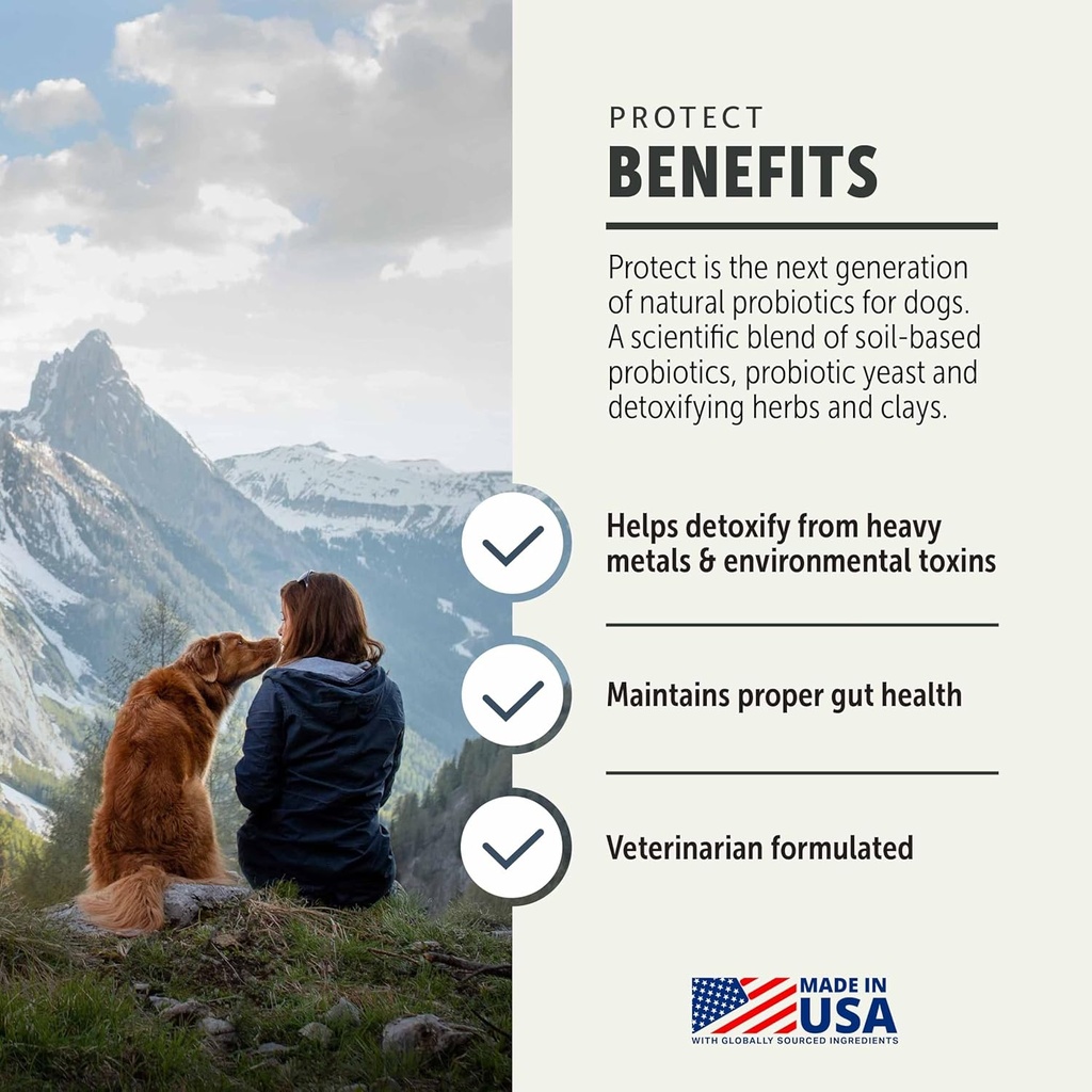 protect-safe-sea-2.jpg