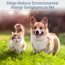 rx-vitamins-colostrum-for-dogs-cats---wh-3.jpg