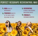 perfect-resgrape-max-60-vegetable-capsul-5.jpg