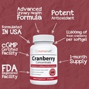 1-cranberry-extract-supplement-for-bladd-4.jpg