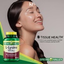 l-lysine-amino-acid-supplements-spring-v-4.jpg