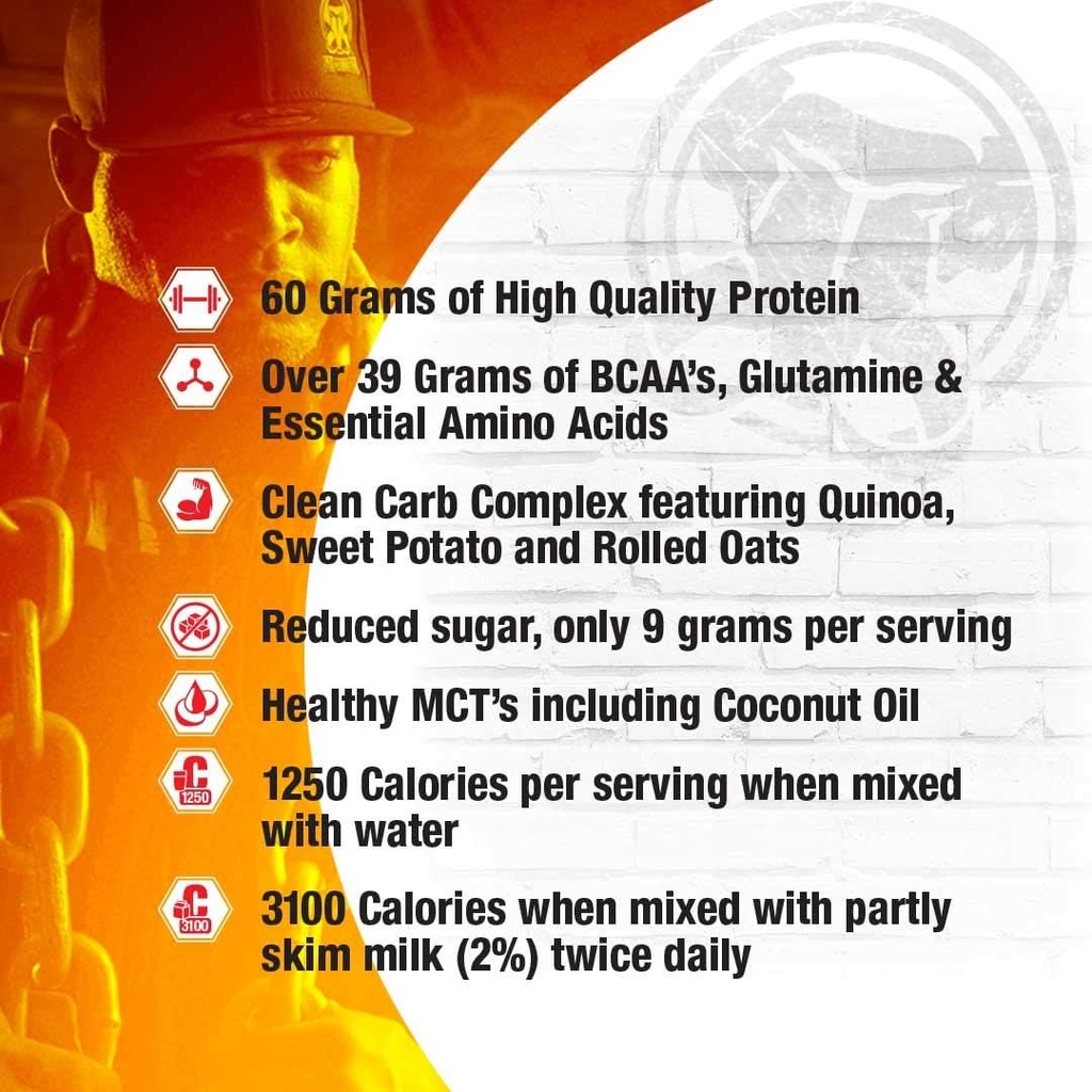 interactive-nutrition-mammoth-mass-suppl-2.jpg