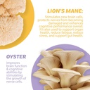 roots-focus-nootropic-brain-supplement---5.jpg