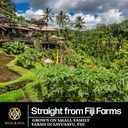 koa-kava-fiji-kava-powder--premium-noble-4.jpg