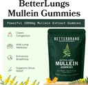 betterlungs-mullein-leaf-extract-and-gum-6.jpg