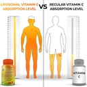 gut-health-immunity-energy-nutrient-supp-5.jpg