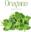 candida-support-supplement---natural-ing-2.jpg