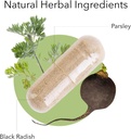 kroeger-herb-products-black-radish-and-p-2.jpg