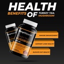 turkey-tail-mushroom-capsules-4500mg-ext-3.jpg