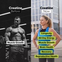 complement-creatine-monohydrate-microniz-2.jpg